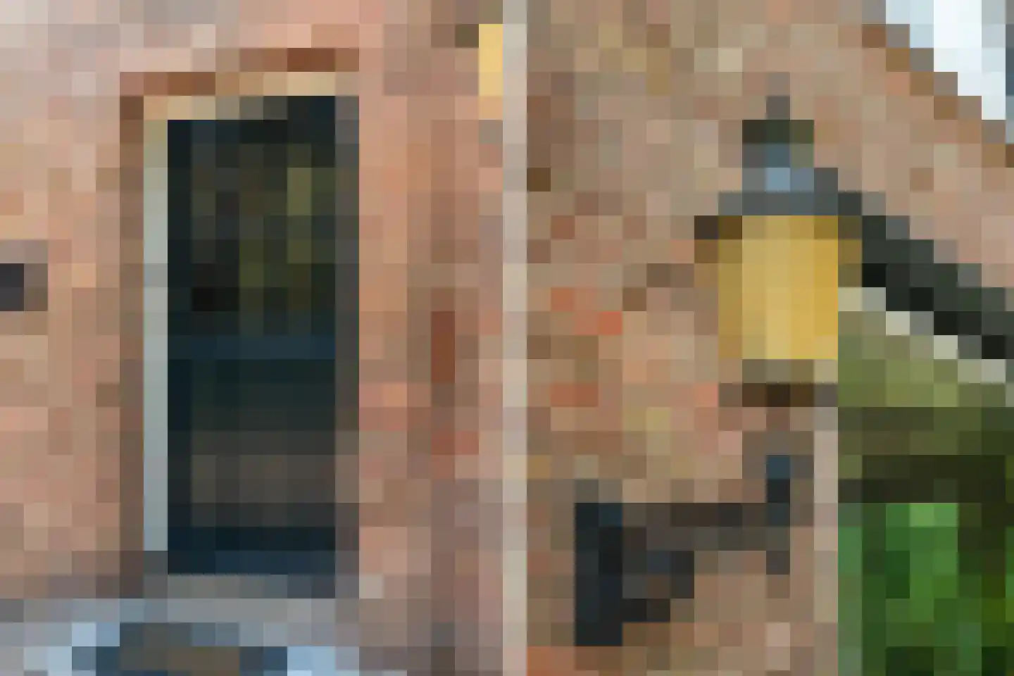 Dorpsstraat 85 Bemmel thumbnail 11