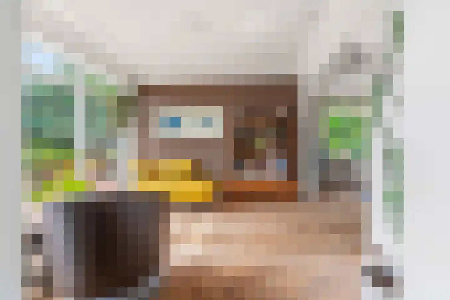 Dorpsstraat 85 Bemmel thumbnail 18