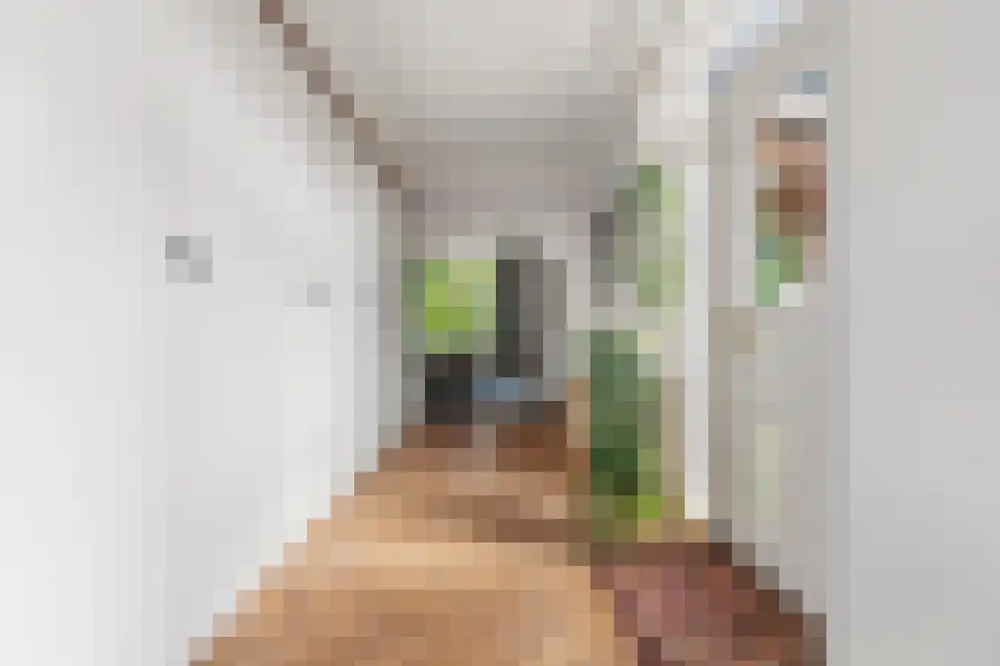 Dorpsstraat 85 Bemmel thumbnail 21