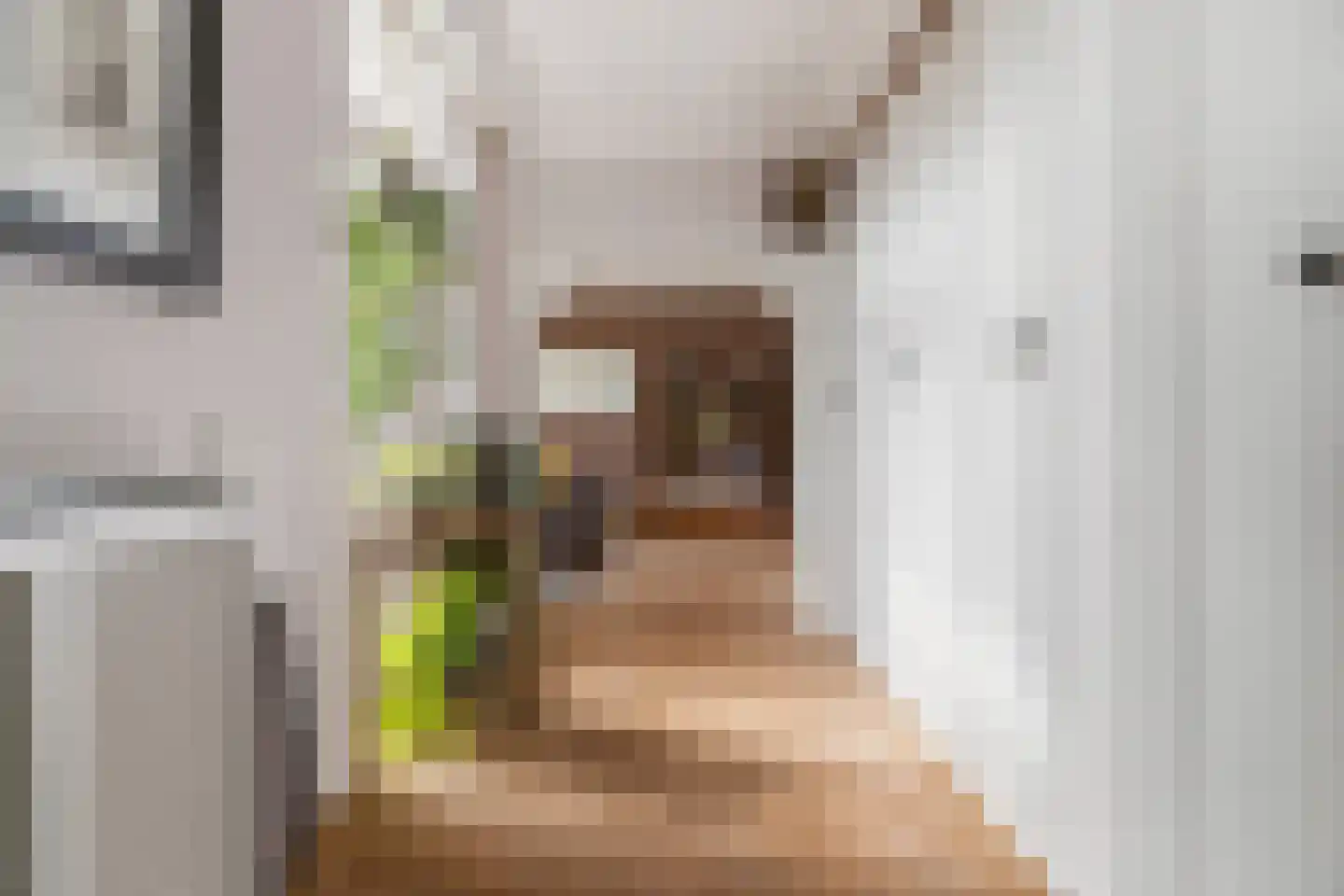 Dorpsstraat 85 Bemmel thumbnail 22