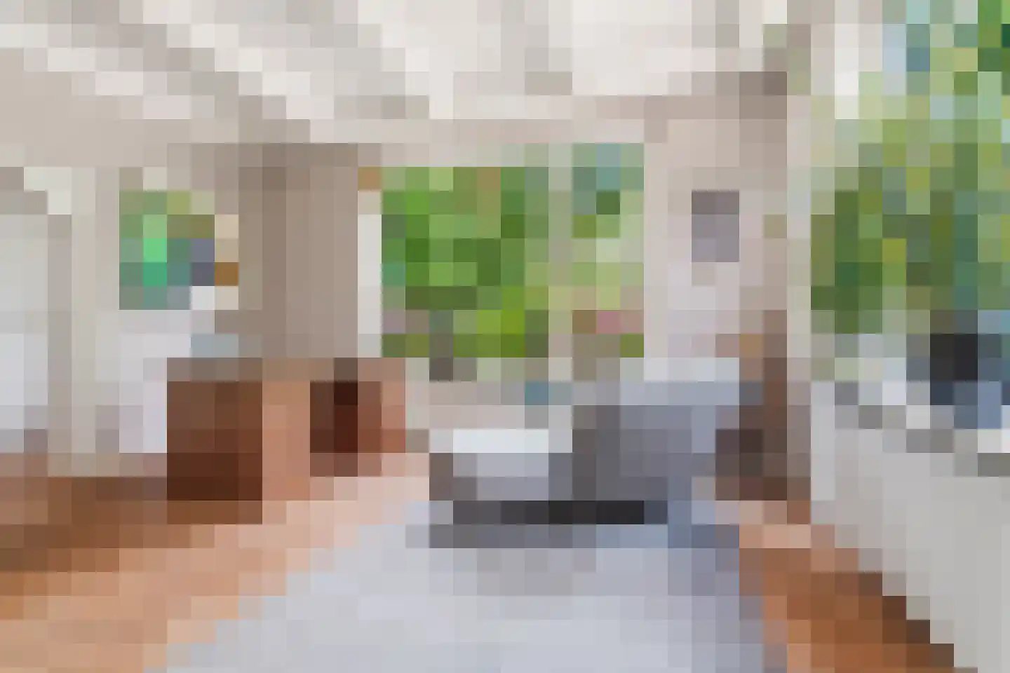 Dorpsstraat 85 Bemmel thumbnail 26