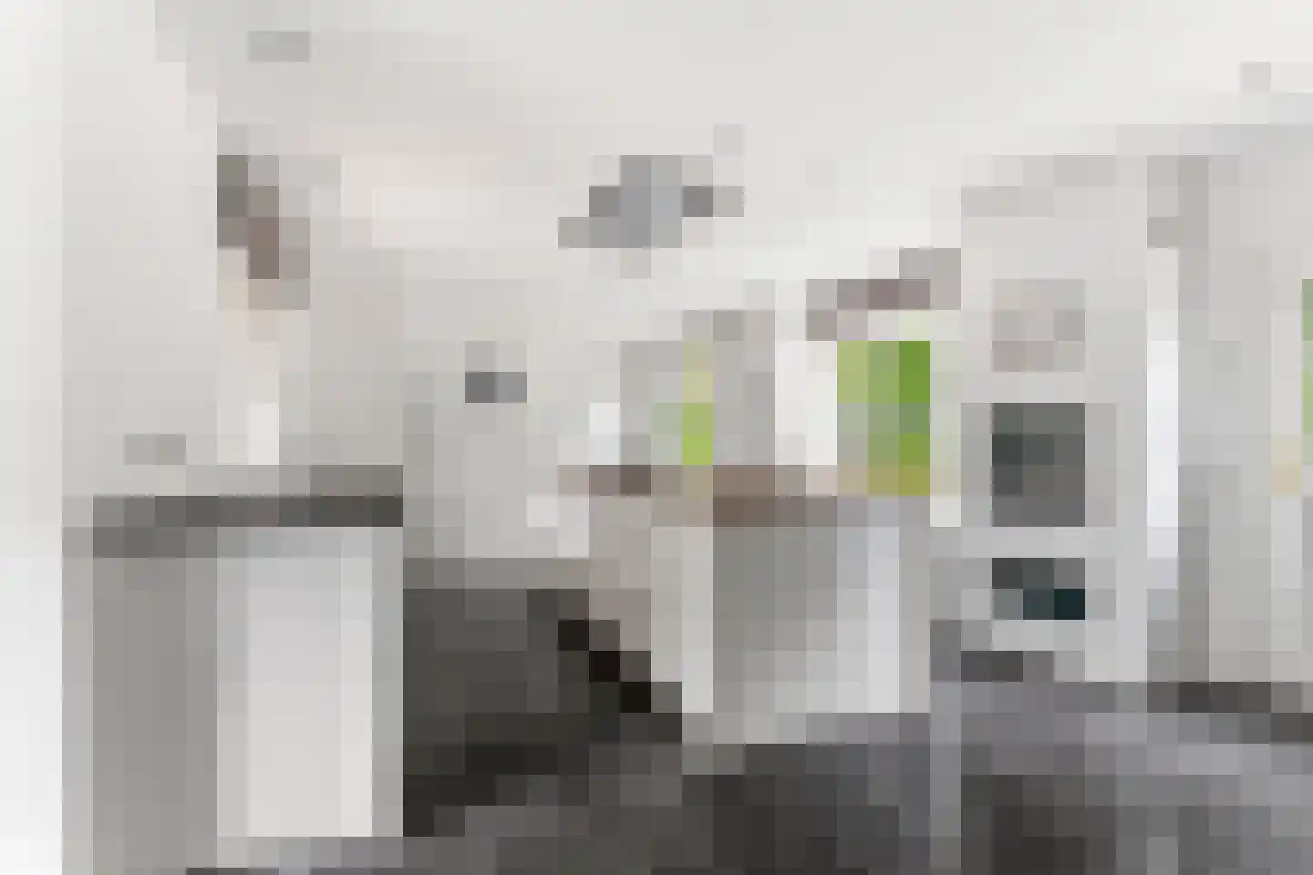 Dorpsstraat 85 Bemmel thumbnail 30