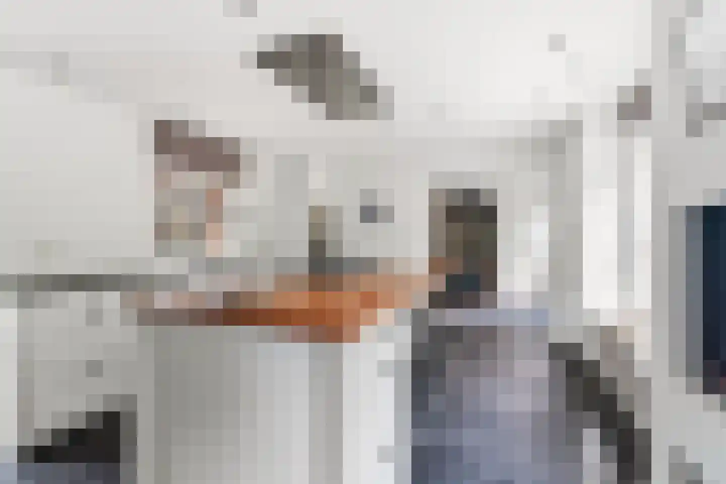 Dorpsstraat 85 Bemmel thumbnail 31