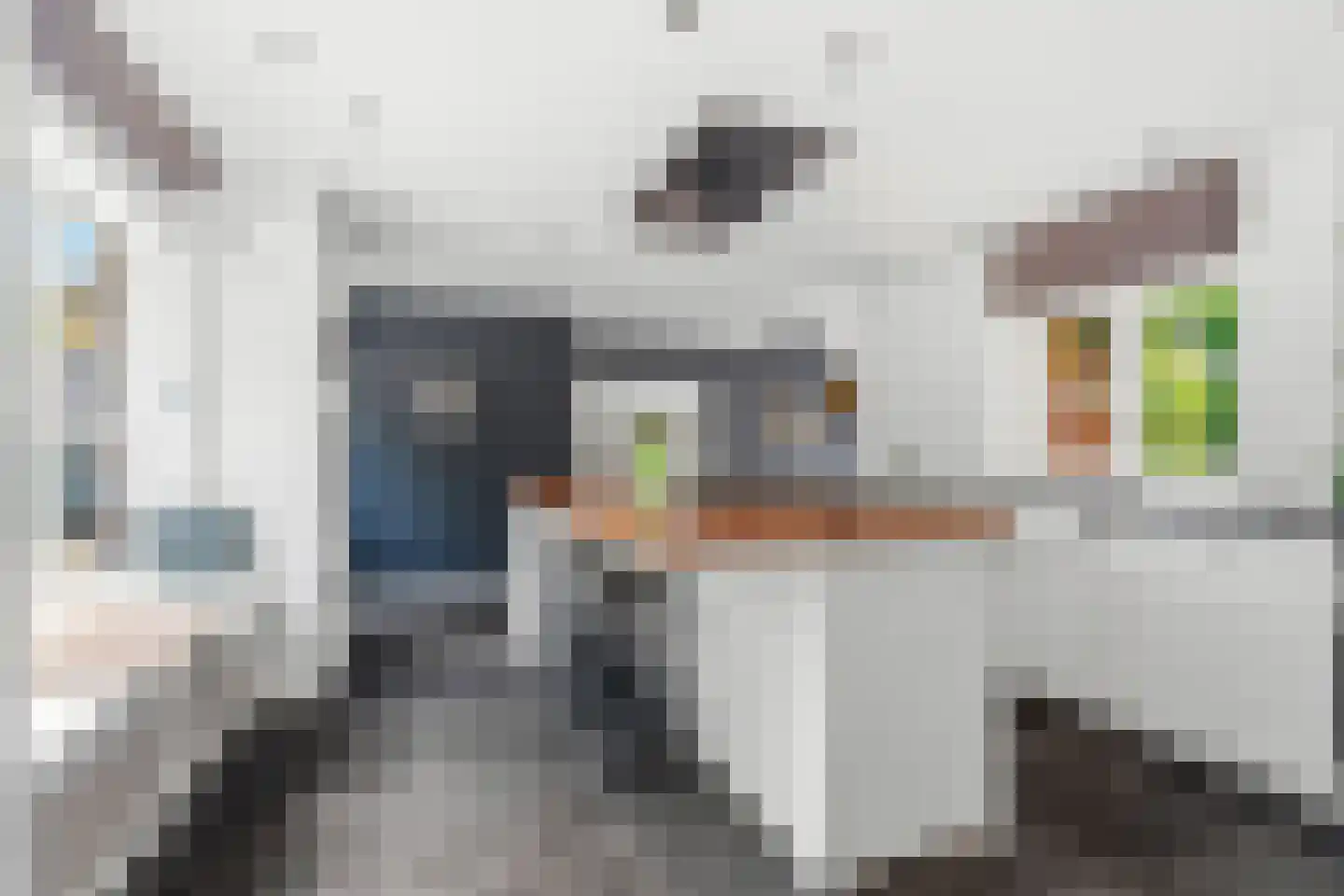Dorpsstraat 85 Bemmel thumbnail 32