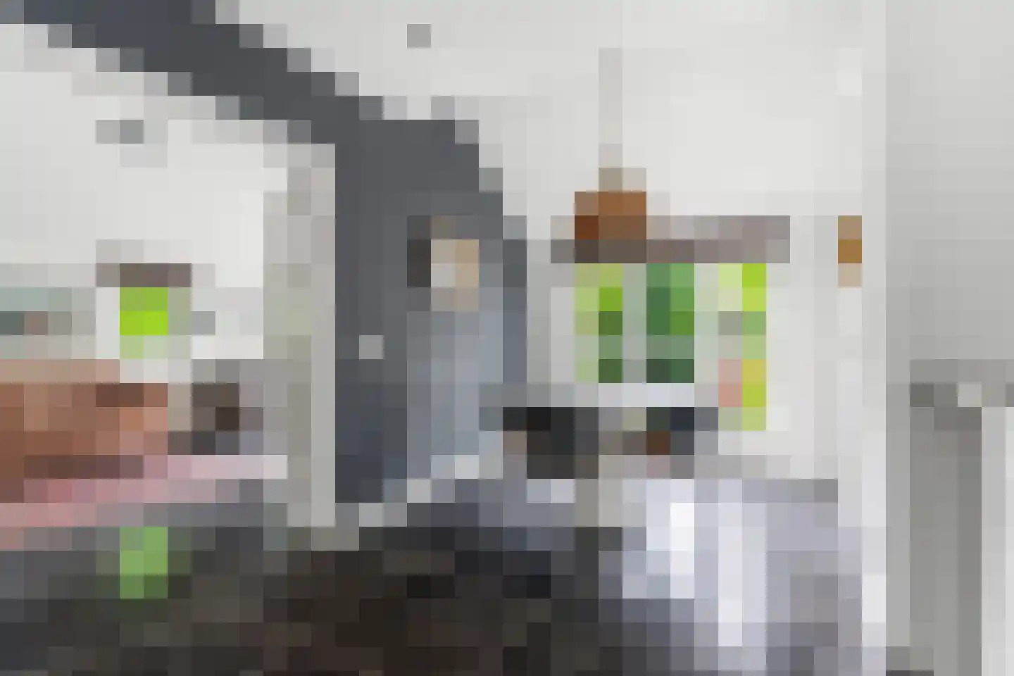Dorpsstraat 85 Bemmel thumbnail 34