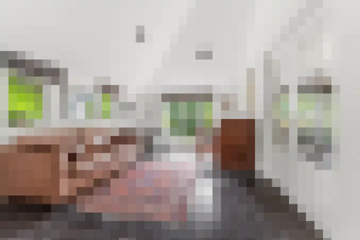 Dorpsstraat 85 Bemmel thumbnail 36