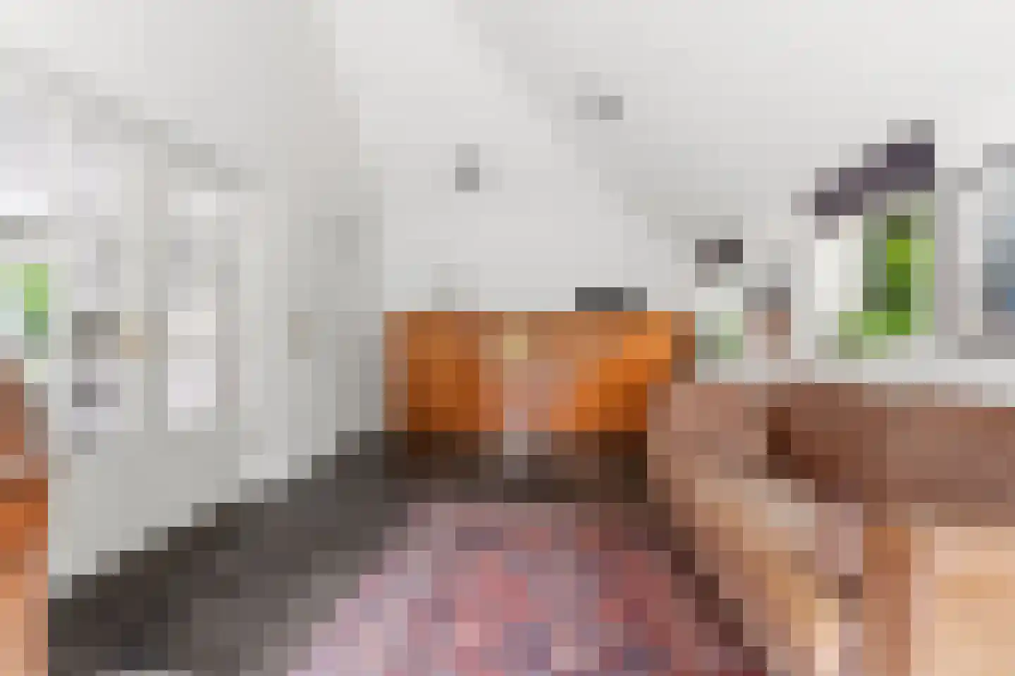 Dorpsstraat 85 Bemmel thumbnail 37