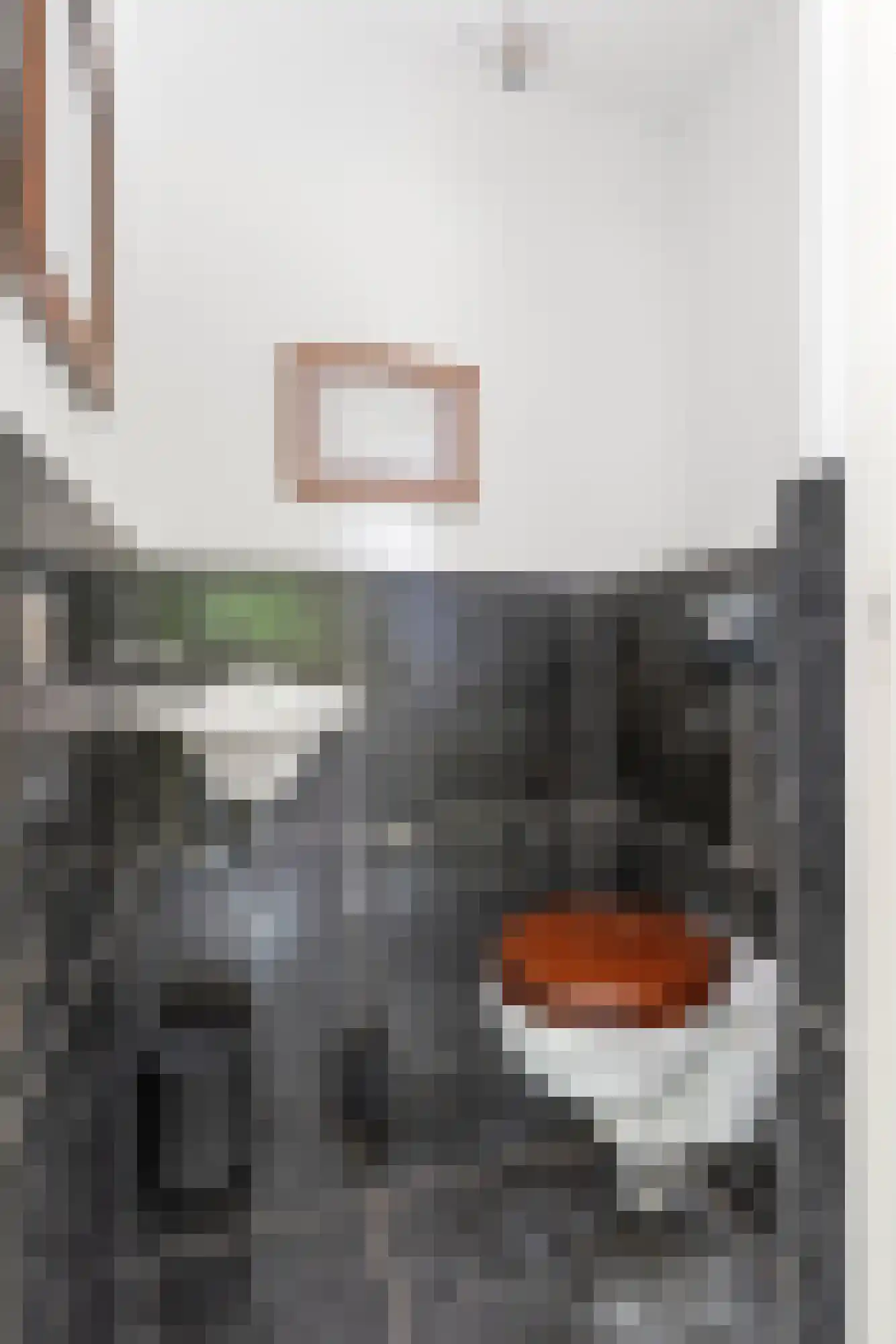 Dorpsstraat 85 Bemmel thumbnail 38