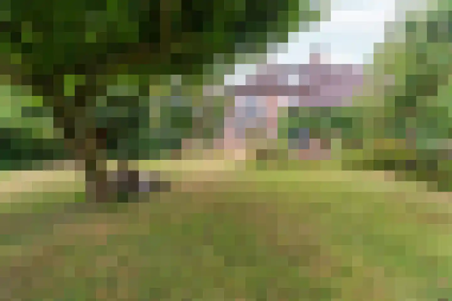 Dorpsstraat 85 Bemmel thumbnail 5