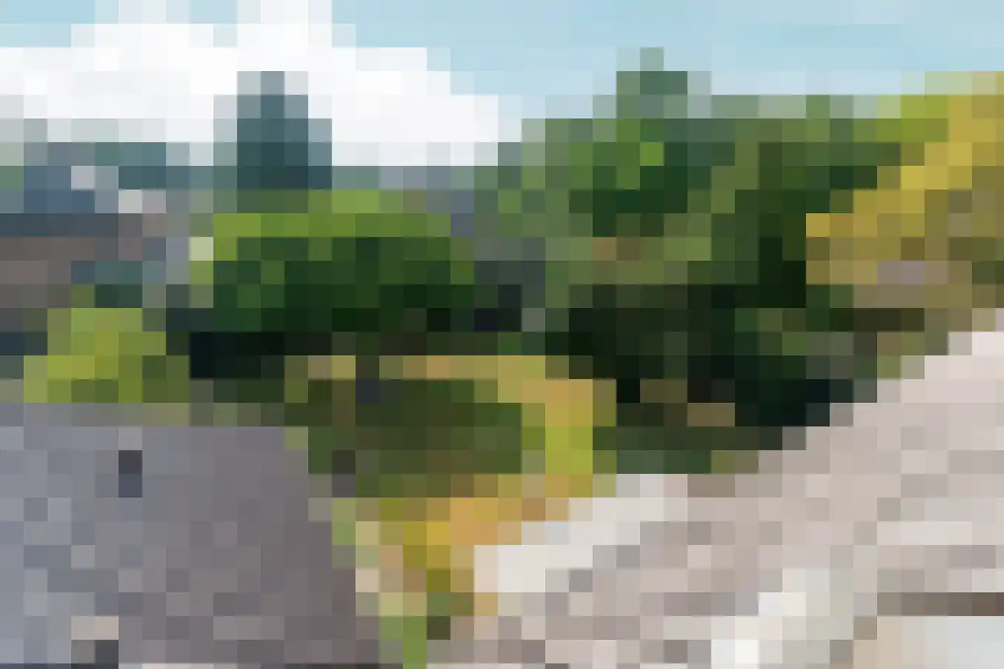 Dorpsstraat 85 Bemmel thumbnail 71