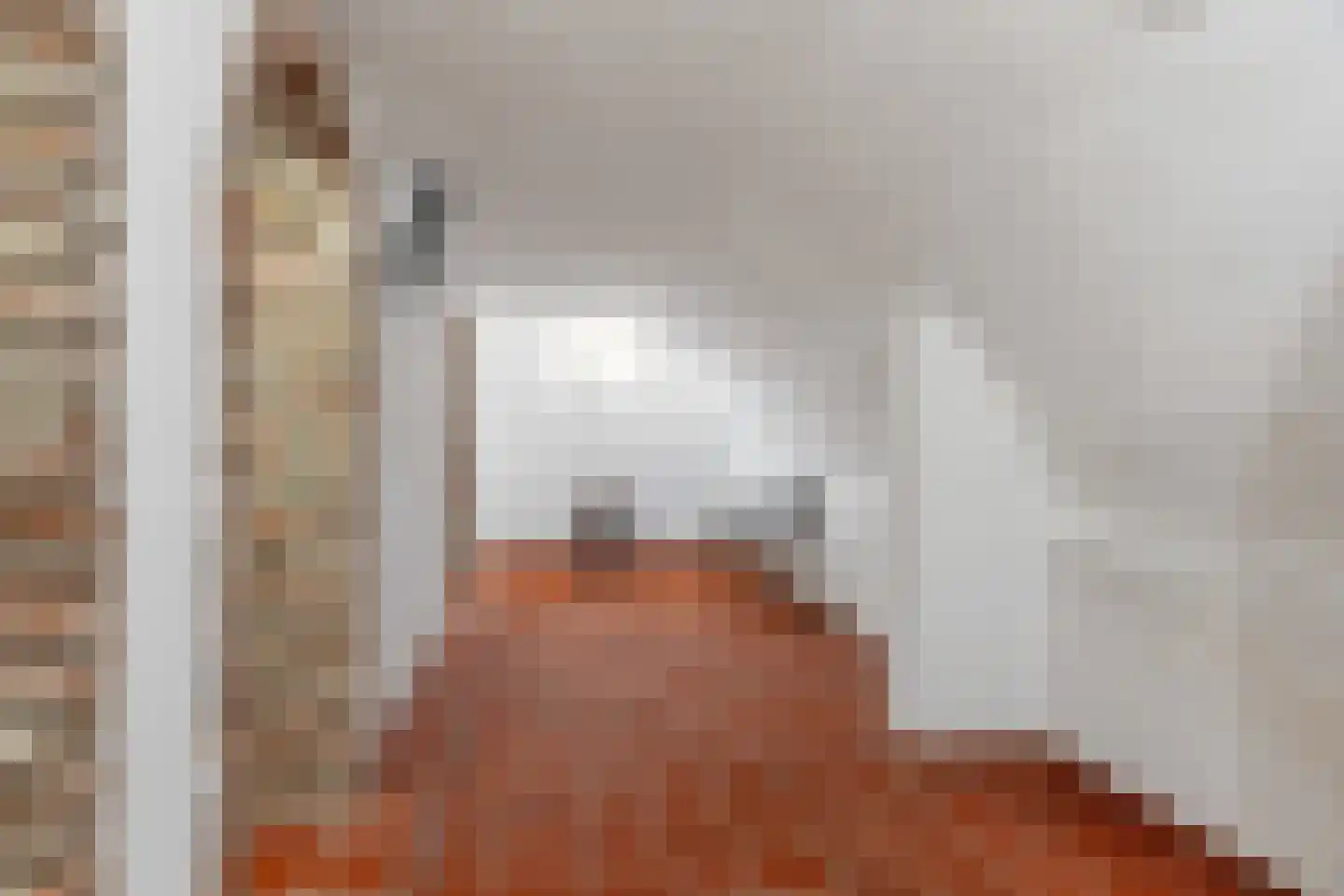 Dorpsstraat 85 Bemmel thumbnail 83