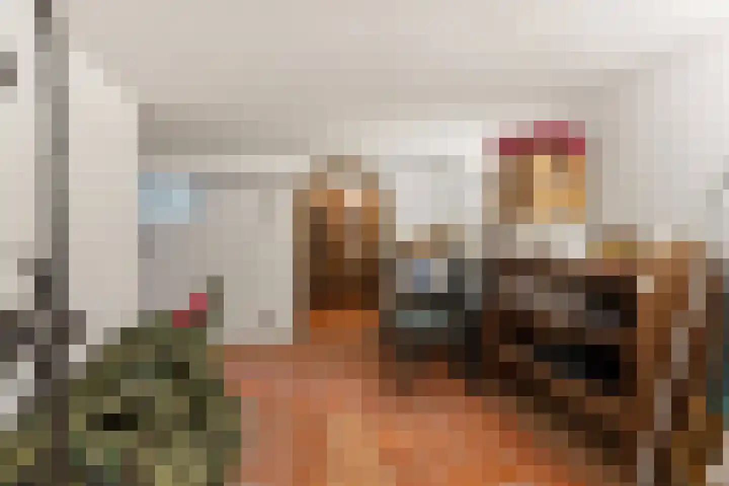 Dorpsstraat 85 Bemmel thumbnail 84