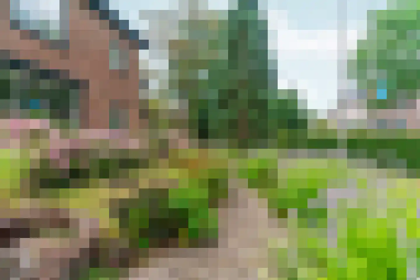 Dorpsstraat 85 Bemmel thumbnail 89