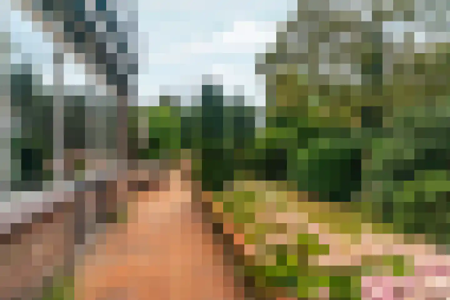Dorpsstraat 85 Bemmel thumbnail 92