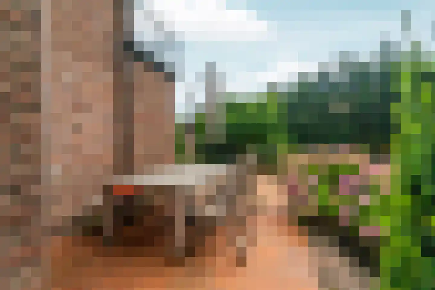 Dorpsstraat 85 Bemmel thumbnail 93