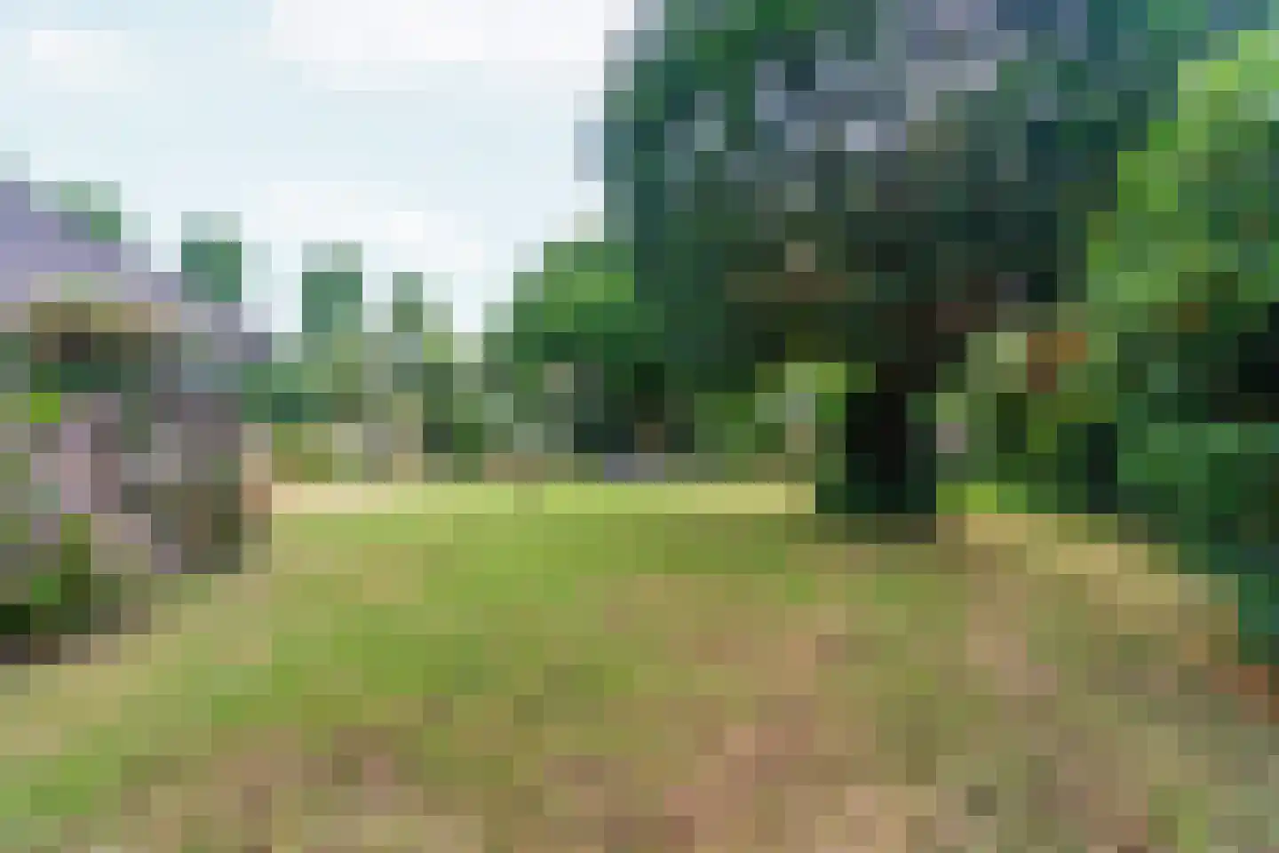 Dorpsstraat 85 Bemmel thumbnail 94