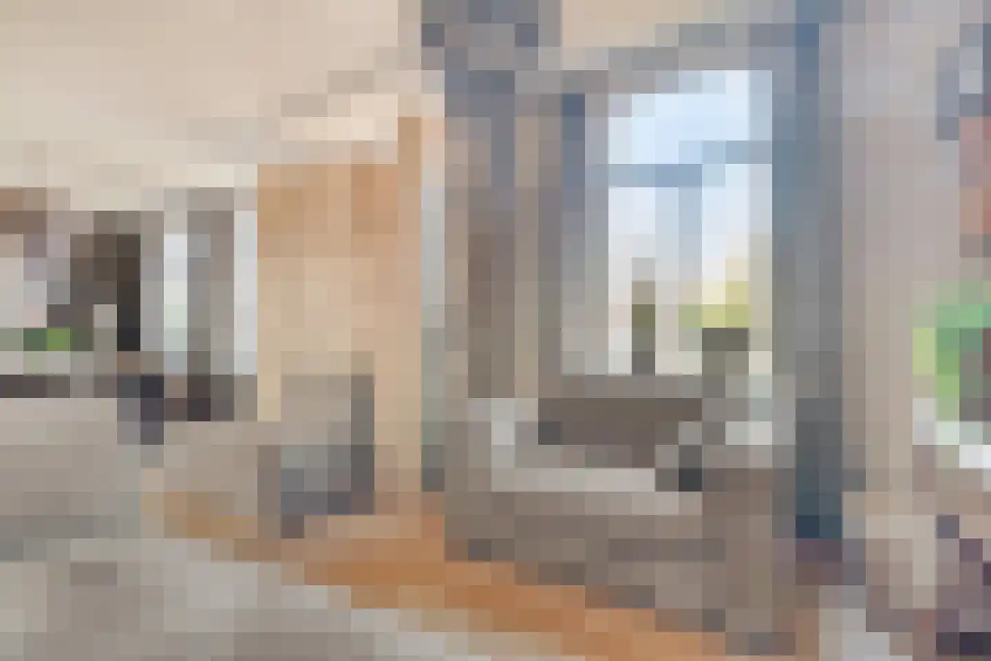 Dorpsstraat 85 Ulicoten thumbnail 4