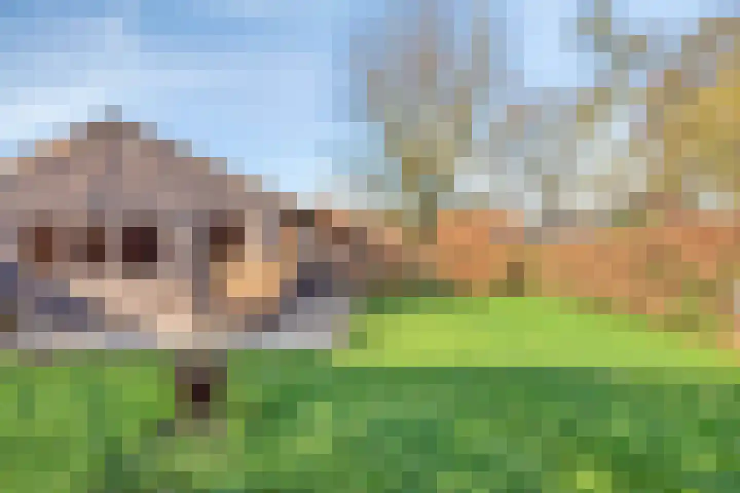 Dorpsstraat 85 Ulicoten thumbnail 43