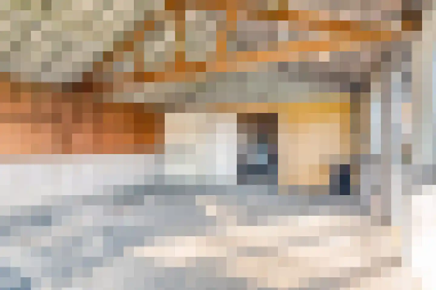 Dorpsstraat 85 Ulicoten thumbnail 45