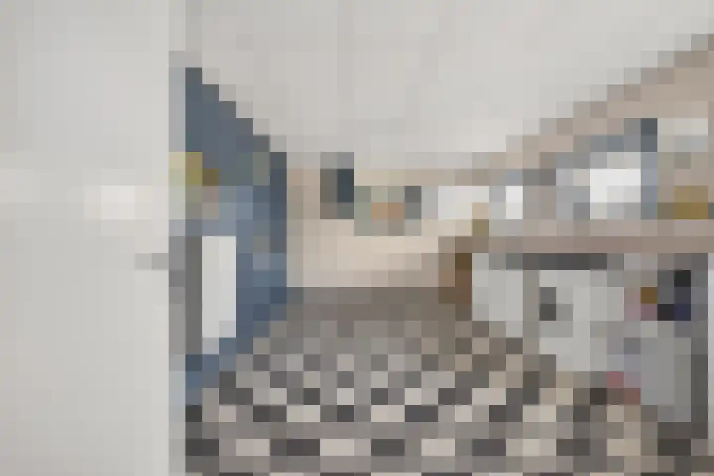 Dorpsstraat 86 Heerjansdam thumbnail 24
