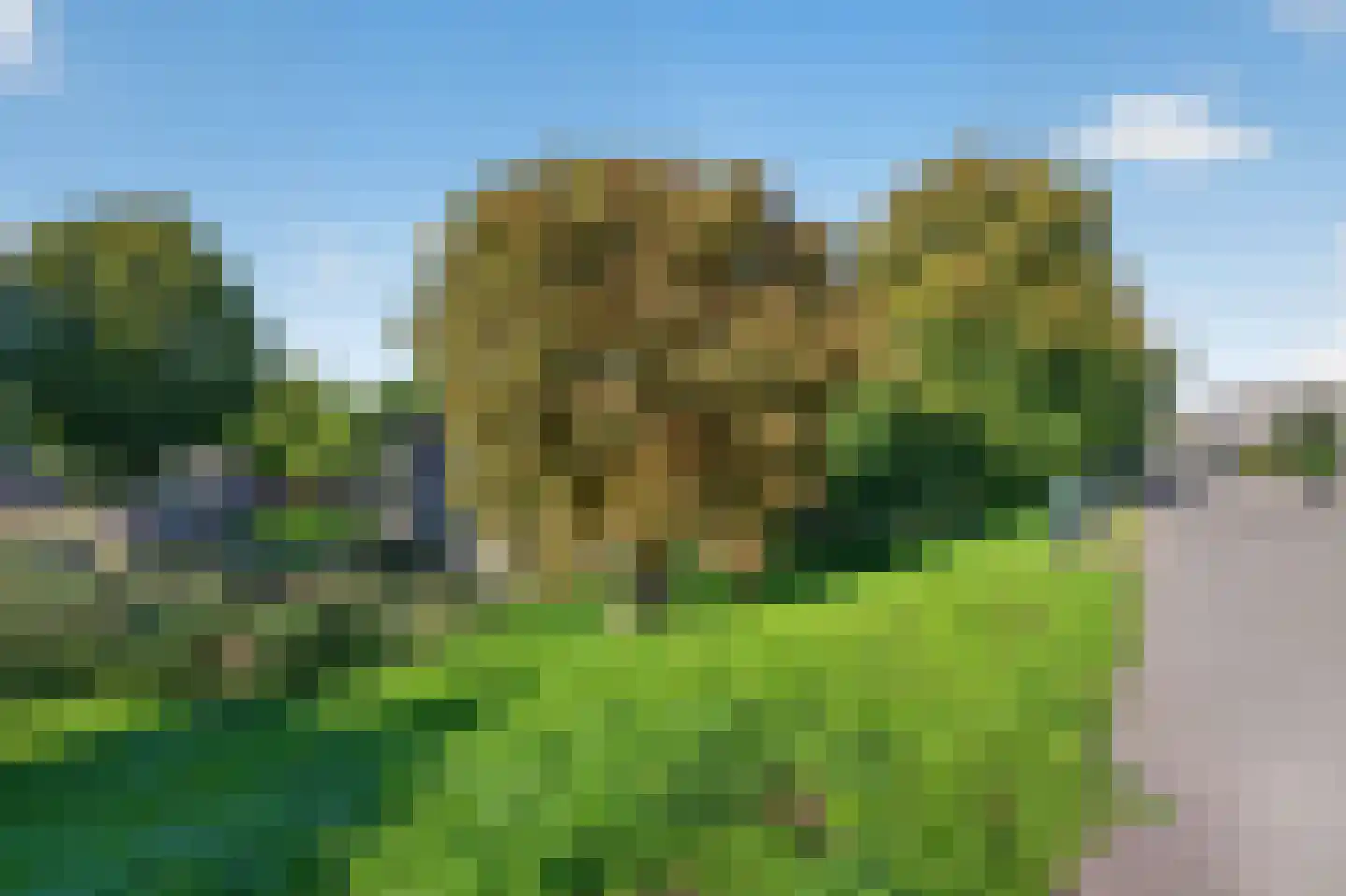 Dorpsstraat 86 Heerjansdam thumbnail 37