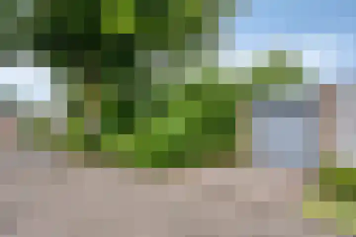Dorpsstraat 86 Helmond thumbnail 38