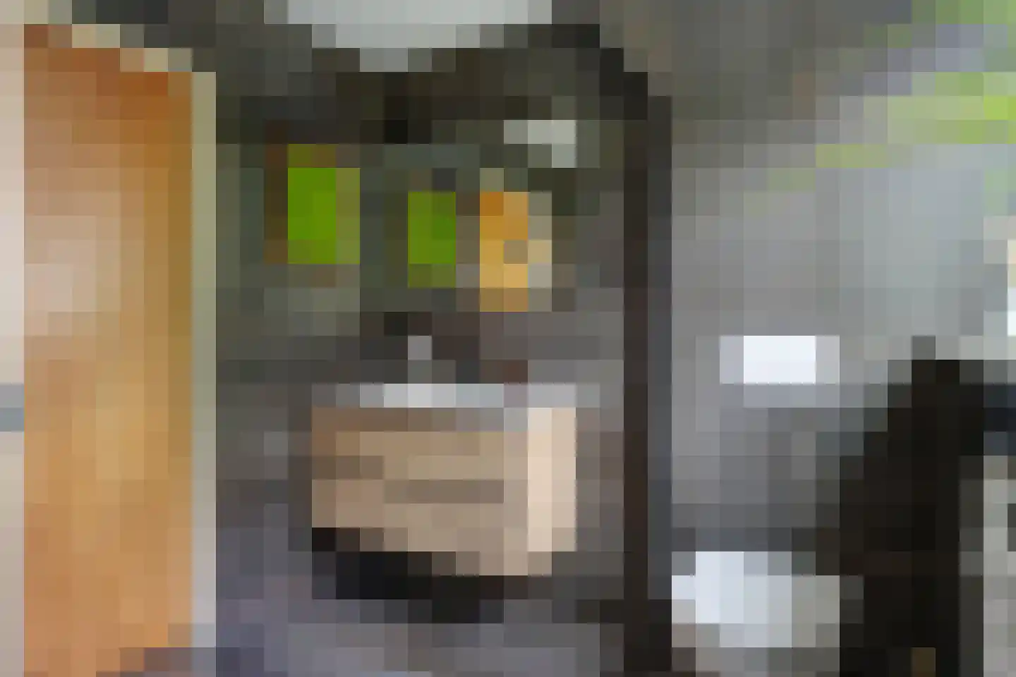Dorpsstraat 86 Nibbixwoud thumbnail 16