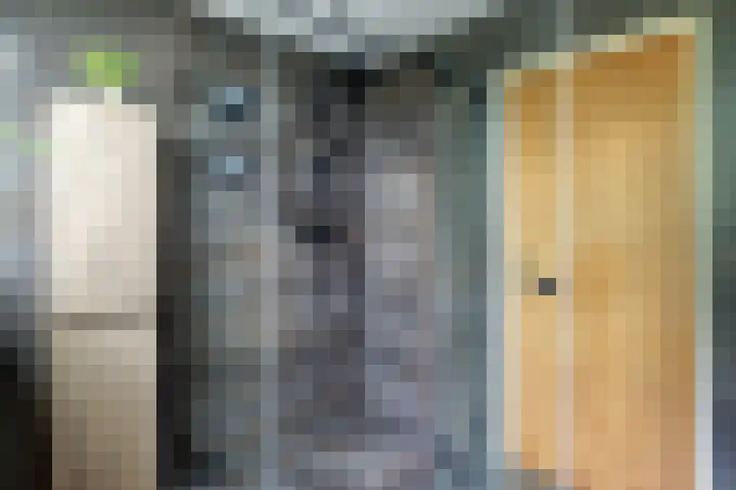 Dorpsstraat 86 Nibbixwoud thumbnail 17
