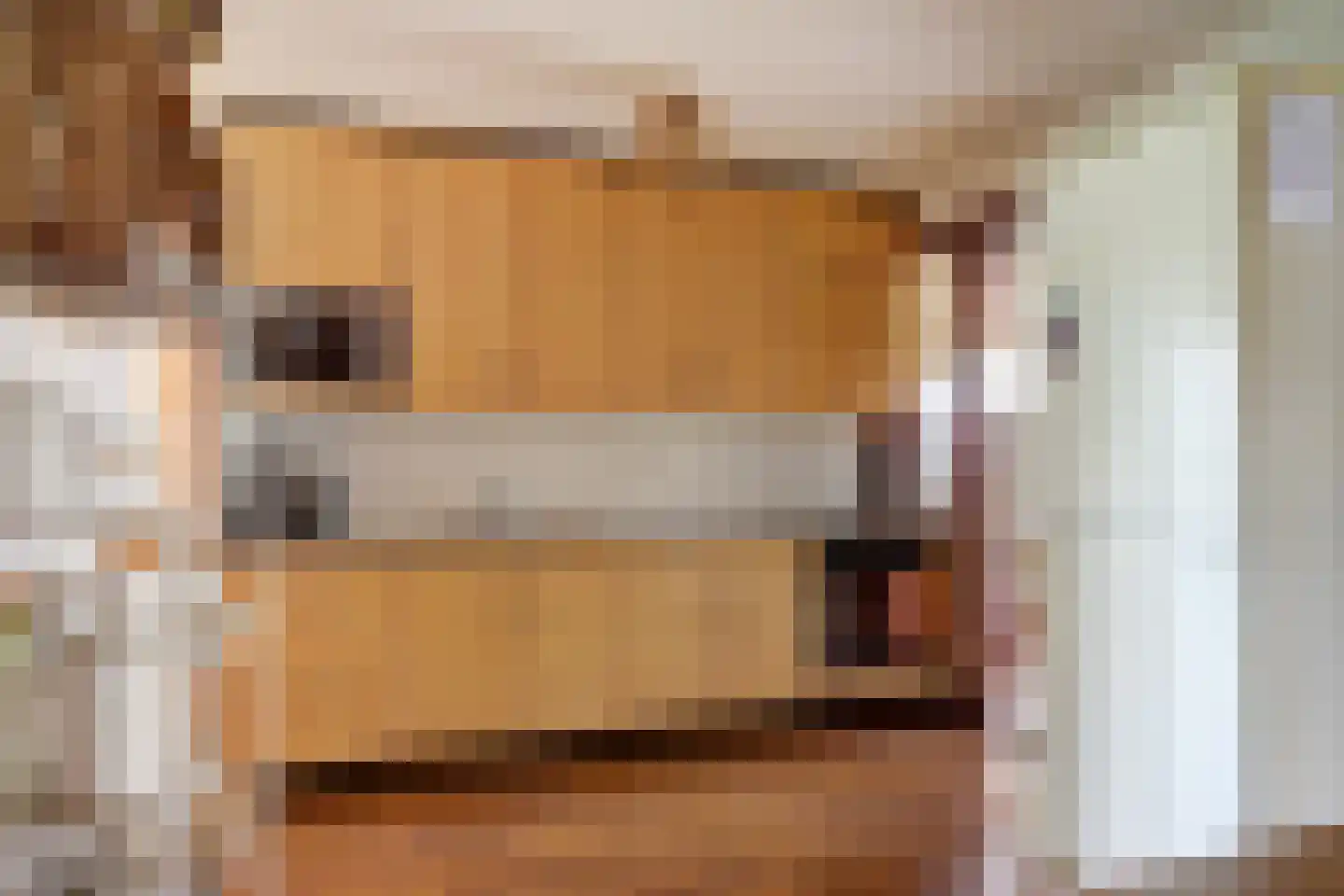 Dorpsstraat 86 Nibbixwoud thumbnail 4