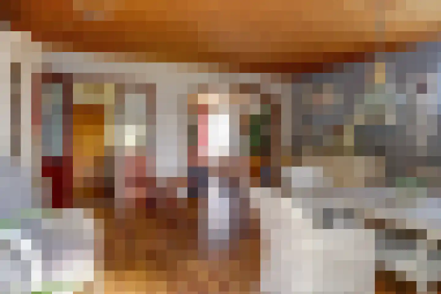 Dorpsstraat 86 Nibbixwoud thumbnail 6