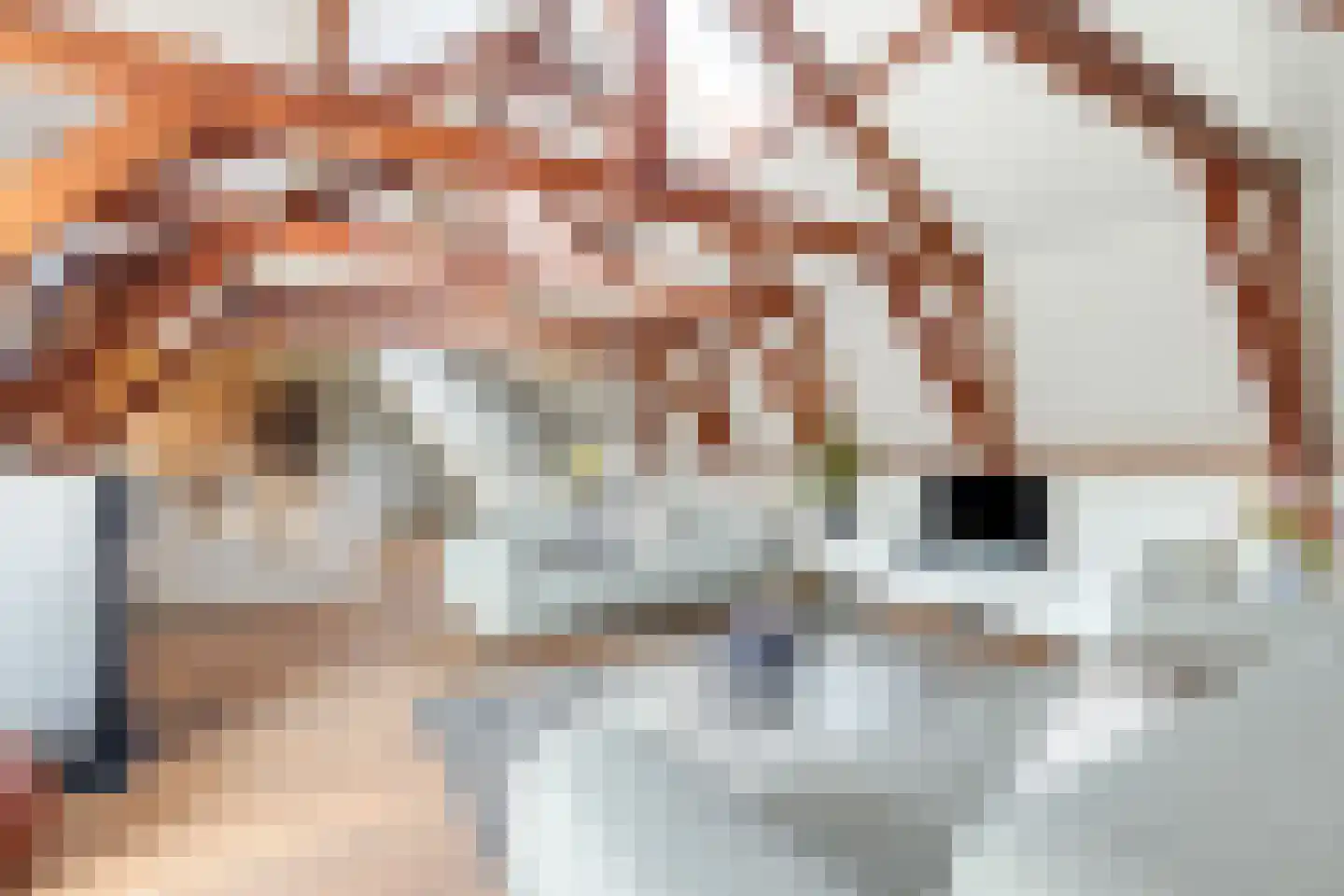 Dorpsstraat 86 Winkel thumbnail 18