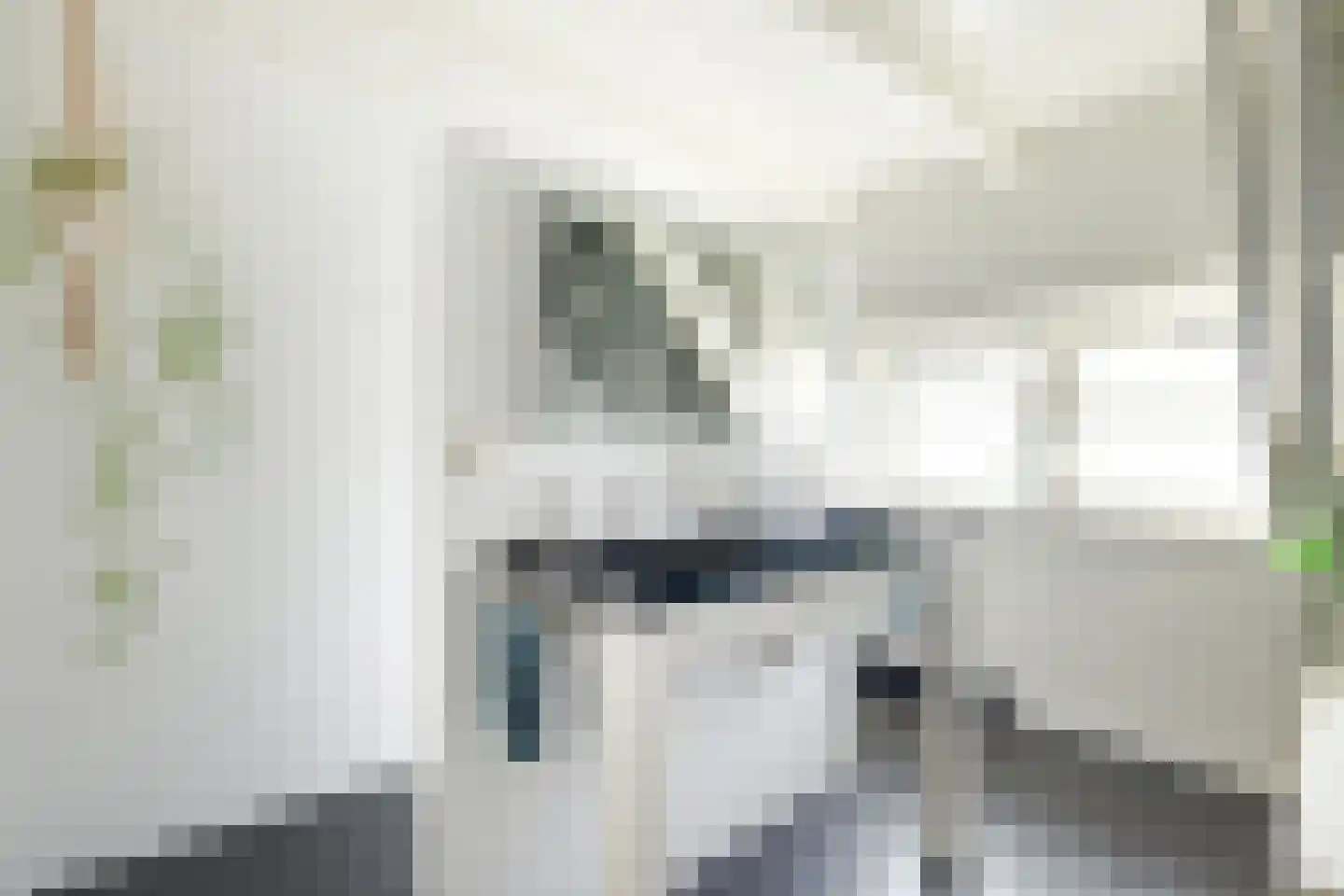 Dorpsstraat 86 Winkel thumbnail 32