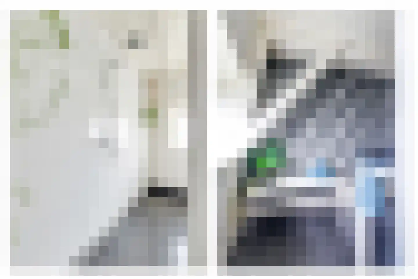 Dorpsstraat 86 Winkel thumbnail 33