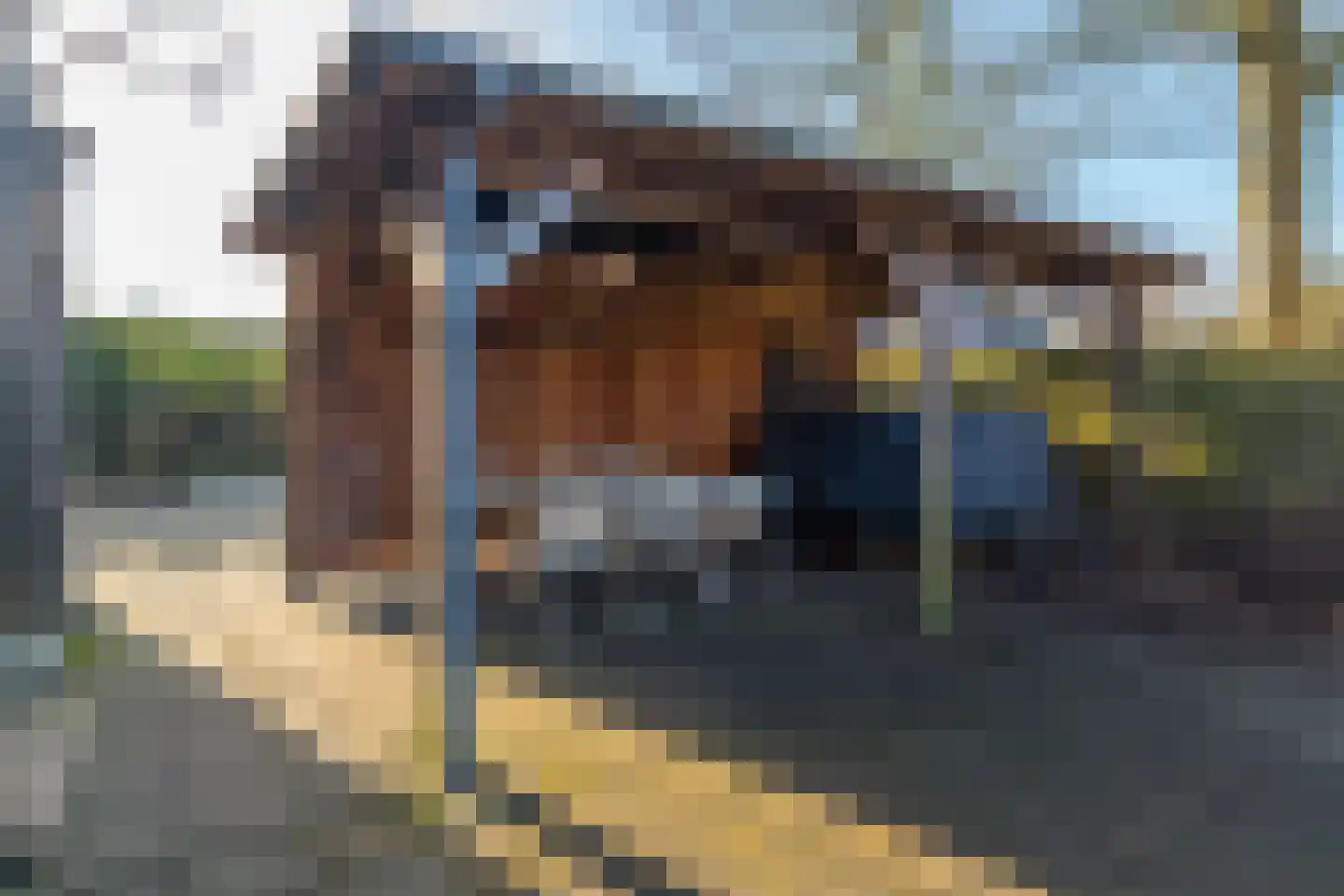 Dorpsstraat 86 Winkel thumbnail 75