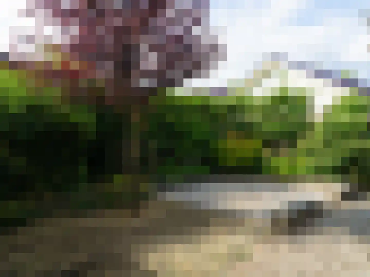 Dorpsstraat 86 Winkel thumbnail 96