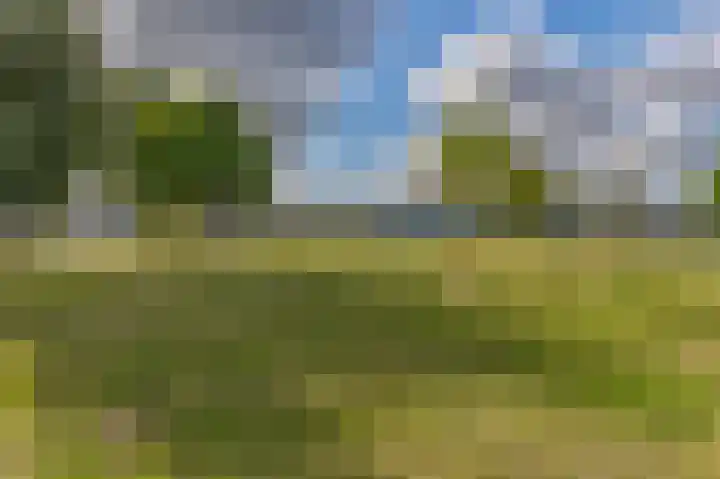 Dorpsstraat 87 Capelle aan den IJssel thumbnail 10