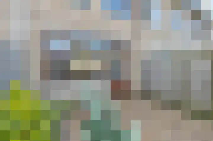 Dorpsstraat 87 Capelle aan den IJssel thumbnail 30