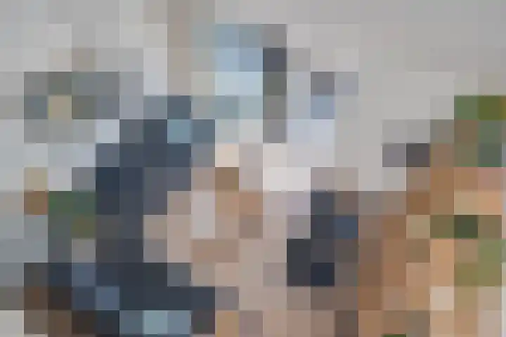Dorpsstraat 87 Capelle aan den IJssel thumbnail 6