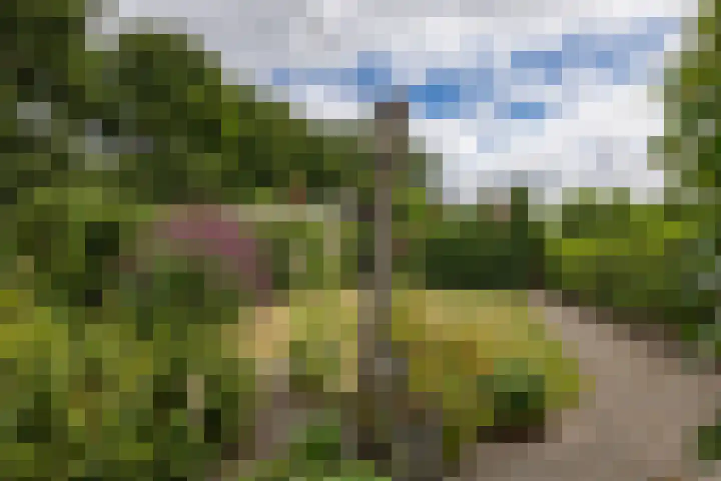 Dorpsstraat 87 Nieuwe Niedorp thumbnail 20