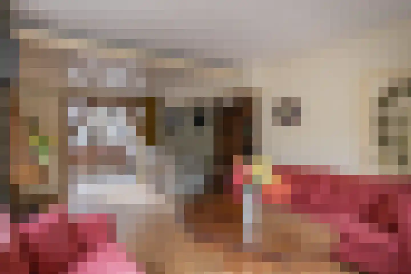 Dorpsstraat 87 Nieuwe Niedorp thumbnail 5