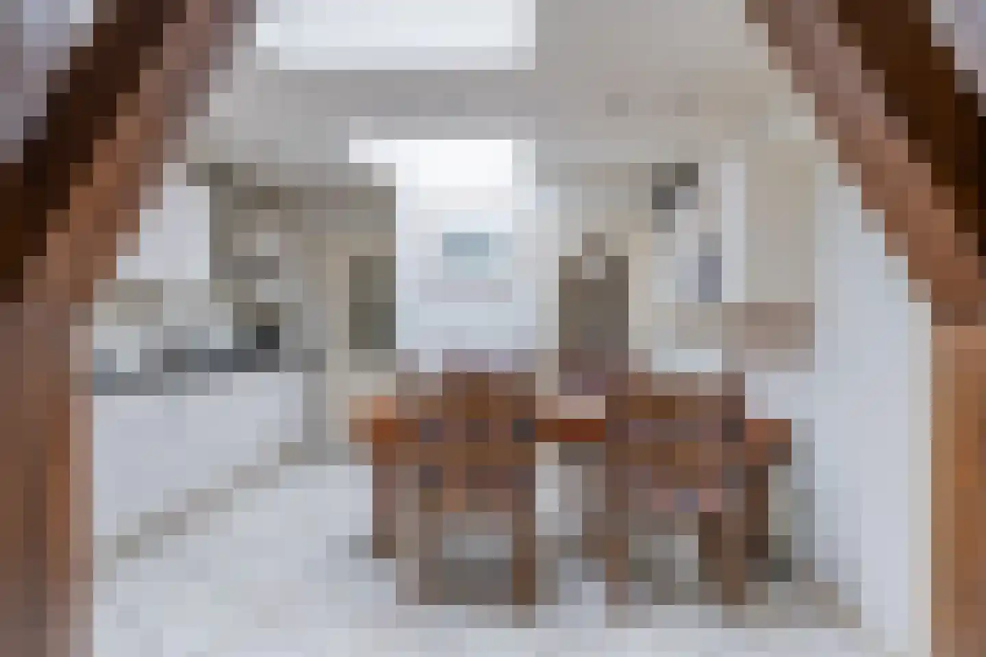 Dorpsstraat 87 Nieuwe Niedorp thumbnail 6