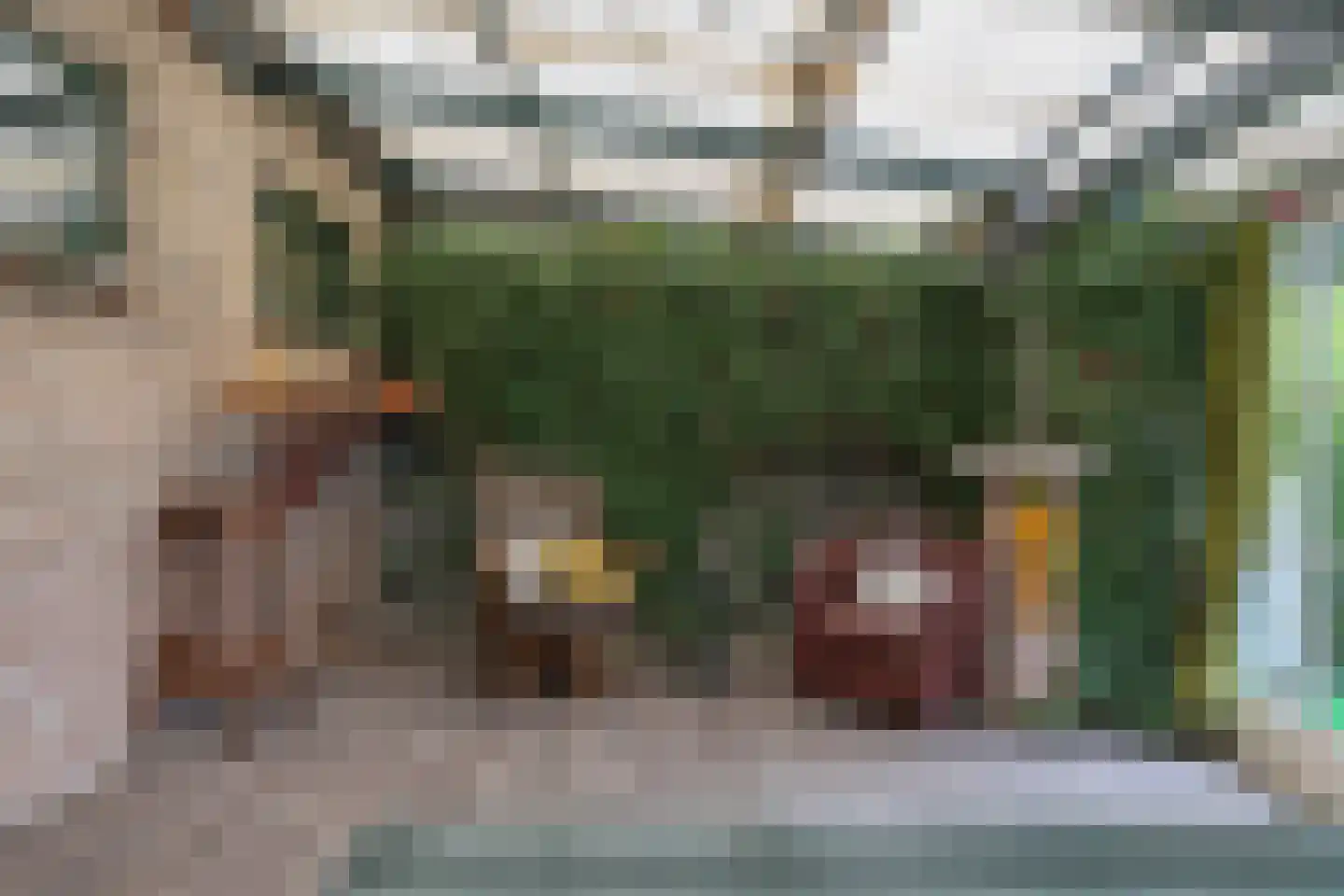 Dorpsstraat 87 Nieuwe Niedorp thumbnail 9