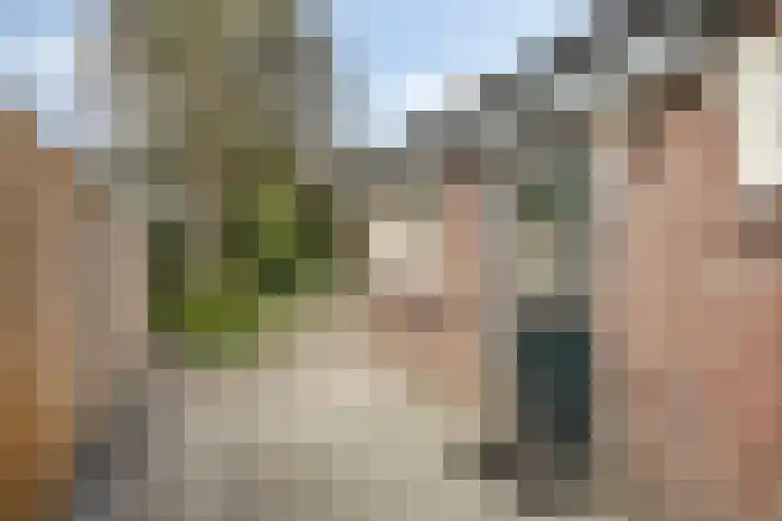 Dorpsstraat 87 Rosmalen thumbnail 34