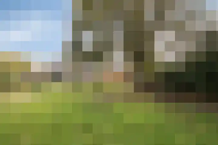 Dorpsstraat 87 Rosmalen thumbnail 35