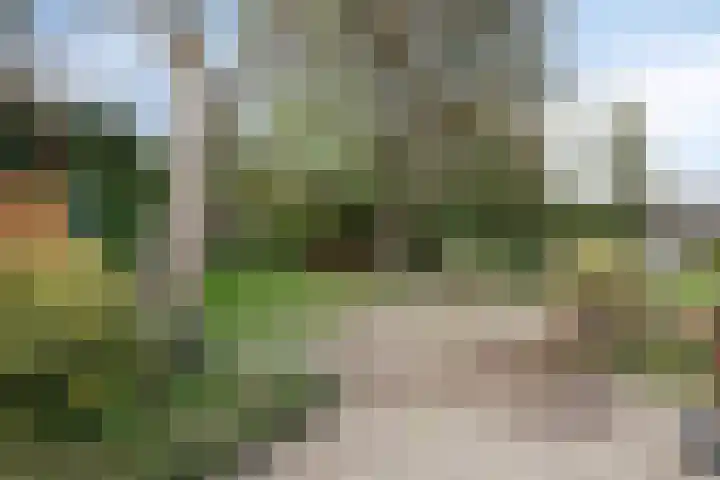 Dorpsstraat 87 Rosmalen thumbnail 38