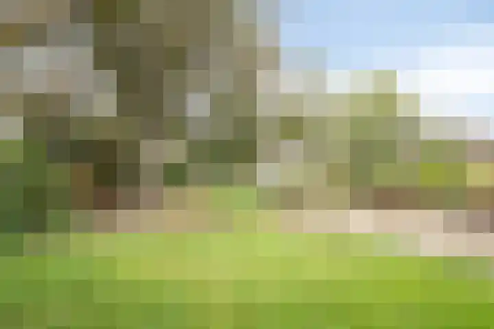 Dorpsstraat 87 Rosmalen thumbnail 39
