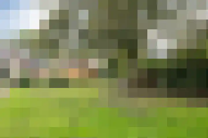 Dorpsstraat 87 Rosmalen thumbnail 40