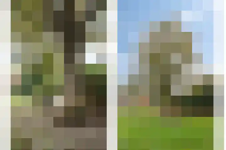 Dorpsstraat 87 Rosmalen thumbnail 41