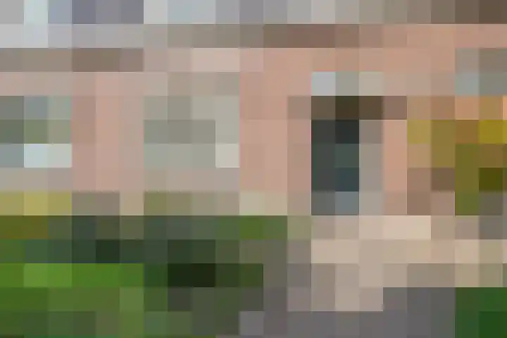 Dorpsstraat 87 Rosmalen thumbnail 42