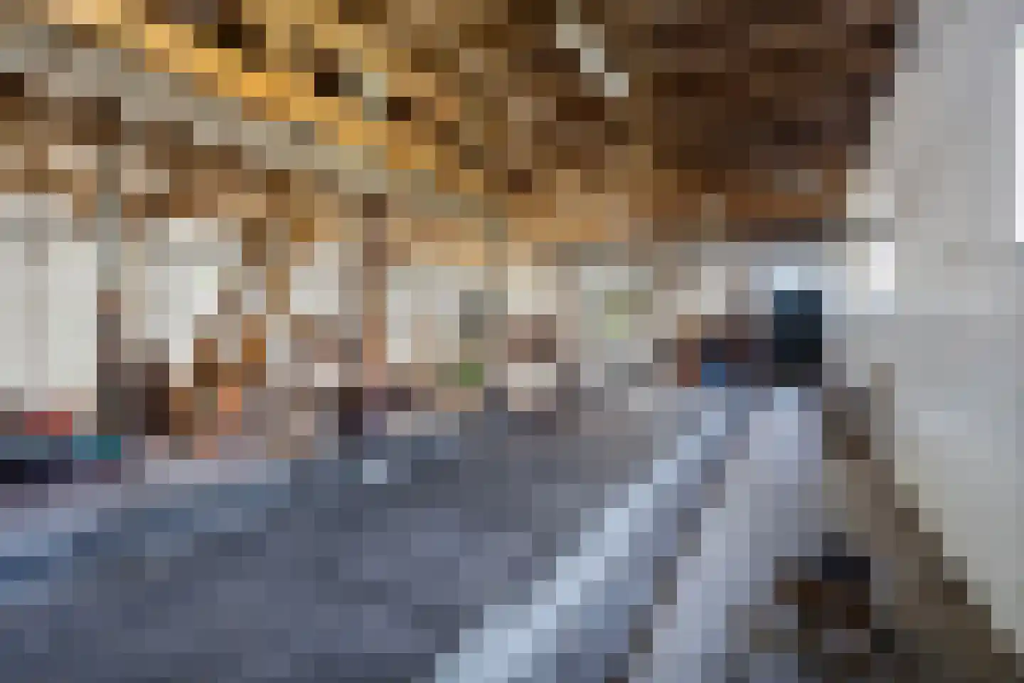 Dorpsstraat 87 Warmond thumbnail 22